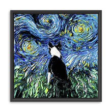 Boston Terrier