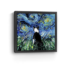 Boston Terrier