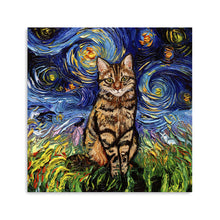 Brown Tabby Night Canvas Wall Art