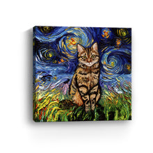 Brown Tabby Night