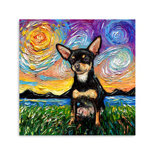 Chihuahua Black and Tan