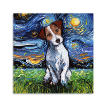 Jack Russell Terrier