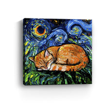 Orange Tabby Canvas Wall Art