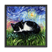 Sleepy Tuxedo Kitten Night