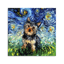 Yorkie Night