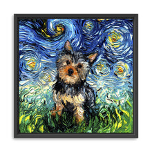 Yorkie Night