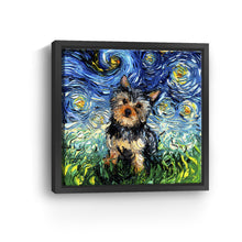 Yorkie Night