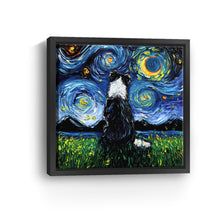 Border Collie III