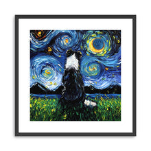 Border Collie III