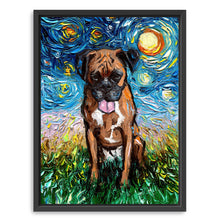 Boxsue Boxer