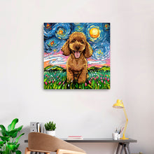 Poodleapricot