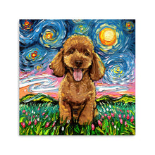 Poodleapricot