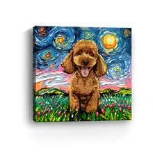 Poodleapricot