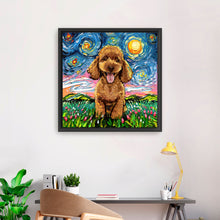 Poodleapricot