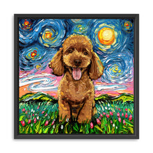 Poodleapricot