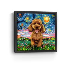Poodleapricot