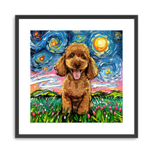 Poodleapricot