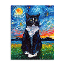 Tuxedo Cat Night I