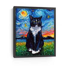 Tuxedo Cat Night I