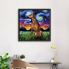 Vizsla Night