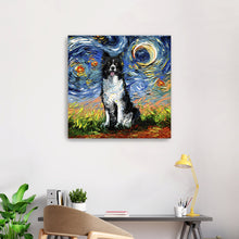Border Collie Night