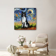 Border Collie Night