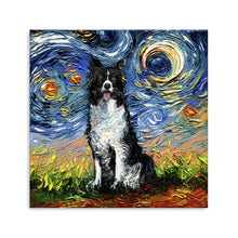 Border Collie Night