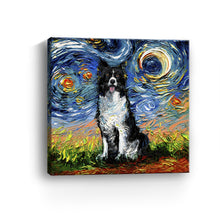 Border Collie Night