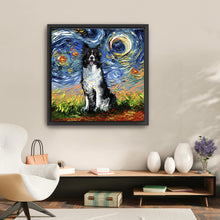 Border Collie Night