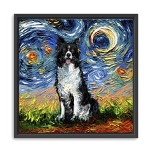 Border Collie Night