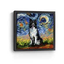 Border Collie Night