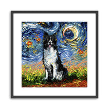 Border Collie Night