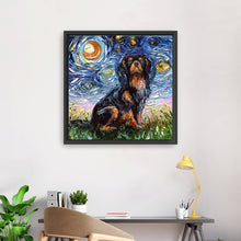 Cavalier King Night