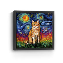 Orange Tabby Seated