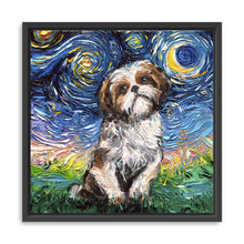 Shih Tzu