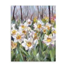 Daffodil Woods Signed