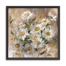 Daisies