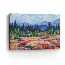 Mountain Meadows