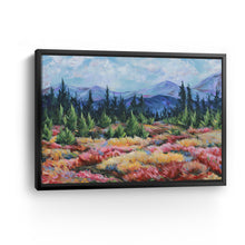 Mountain Meadows