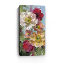 Poppies