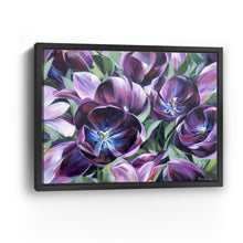Purple Tulips