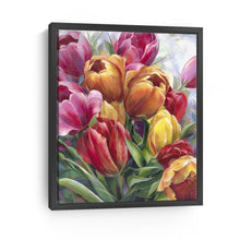 Rainbow Tulips