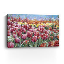 Tulip Field