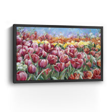 Tulip Field