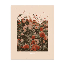 Bloom