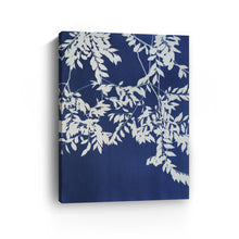 Chinese Elm Triptych I