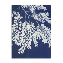 Chinese Elm Triptych II