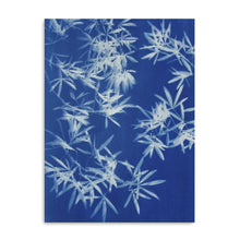 Light Through Leaves IV