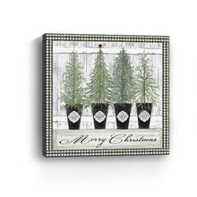 Merry Potted Trees