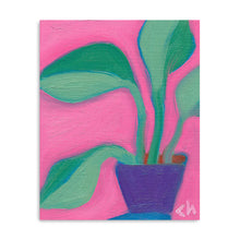 Plant Study
